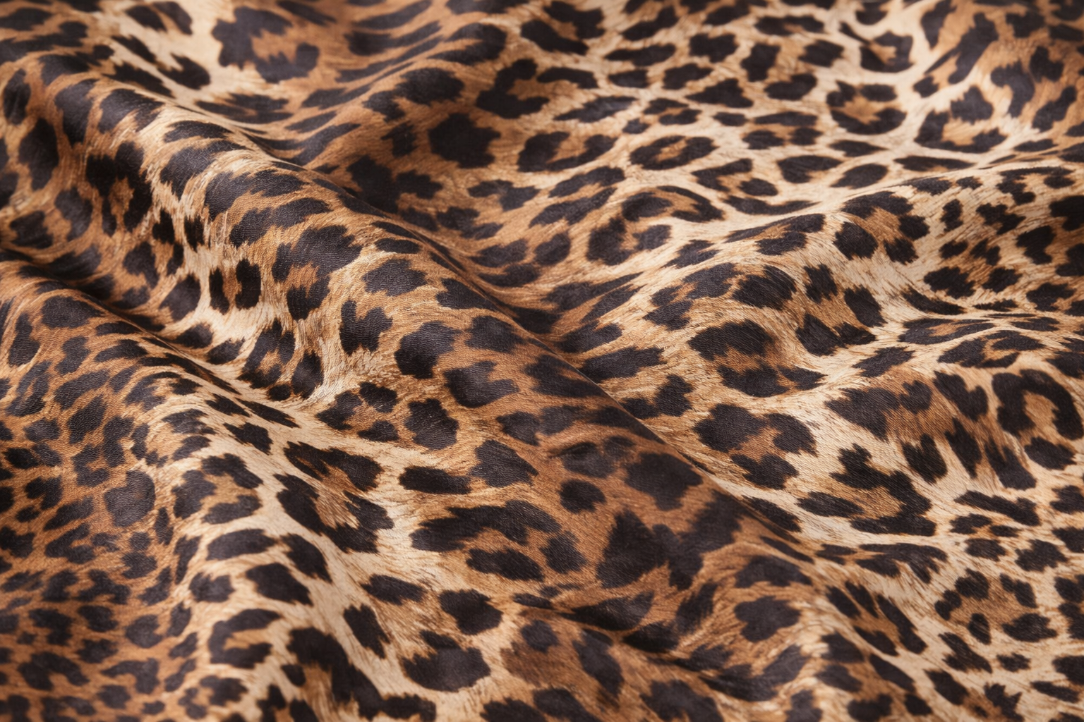 vionetta test | Vionetta Home